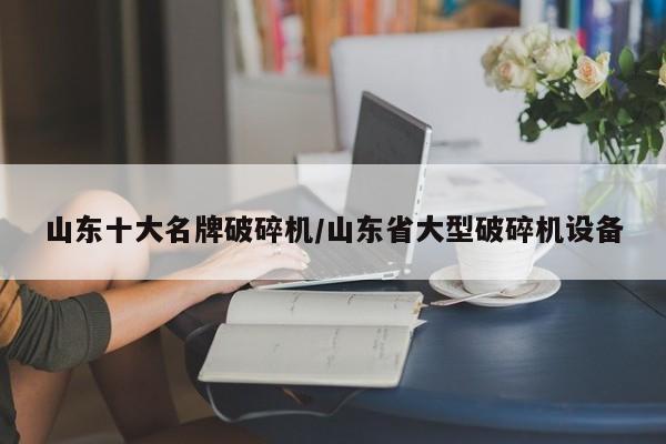 山东十大名牌破碎机/山东省大型破碎机设备